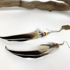 two feathers are hanging from hooks on a white surface