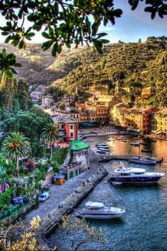 boats are docked in the water next to some buildings and trees on top of a hill