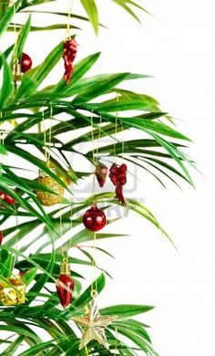 a christmas tree with ornaments hanging from it's branches in front of a white background