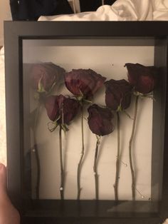 a person holding up a frame with flowers in it