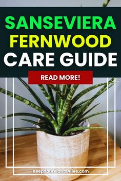 a potted plant sitting on top of a wooden table with the words san severa fernwood care guide