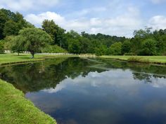 a pond in the middle of a grassy area with trees and grass on both sides