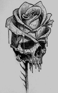 a drawing of a skull with a rose on it