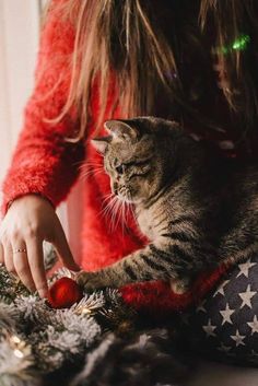 a cat sitting on top of a christmas tree next to a woman's hand