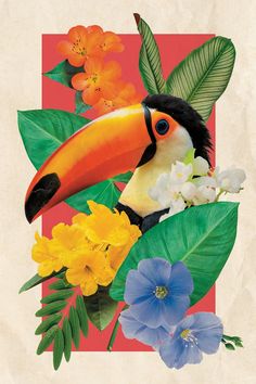 a toucan with flowers and leaves on a red background