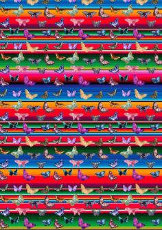 a multicolored background with butterflies and stripes