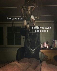 a black dog sitting on top of a bed under a light