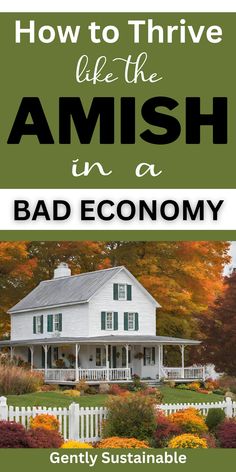 Back To Basics Living, Prepping For Beginners, Frugal Homemaking, Homestead Decor, Amish Living, Amish Culture, Amish Crafts