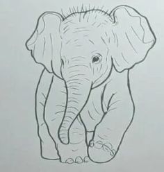 an elephant drawn in pencil on a piece of paper