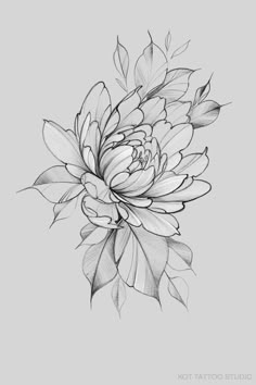 a black and white drawing of a flower