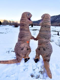 two inflatable dogs are standing on their hind legs and facing each other, with one holding the other's hand