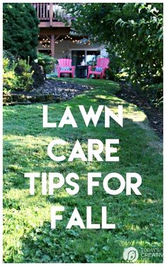 lawn care tips for fall and how to use them