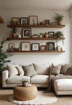 a living room filled with lots of furniture and plants on top of wooden shelves above a white couch