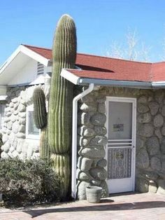 a large cactus next to a small house