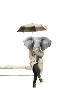 an elephant sitting on top of a bench with an umbrella over it's head