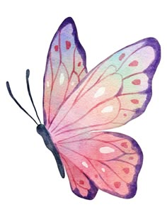 a watercolor painting of a pink butterfly