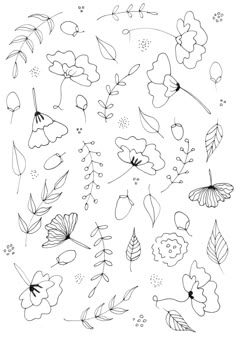 a drawing of flowers and leaves on a white background