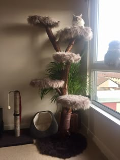 a cat tree in the corner of a room next to a window and a television