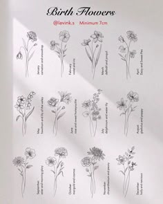 a sheet of paper with flowers on it and the words birth flowers written in black ink