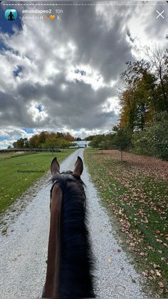 a horse walking down a dirt road next to a lush green field with trees in the background