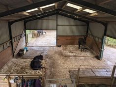 two horses in an enclosed area with stalls