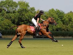 a person on a horse playing polo in the grass with trees in the back ground