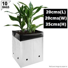 a plant in a black and white box with the words 20cm / l 30cm / w 3cm / h