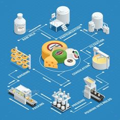 the process of making cheese is depicted in this illustration