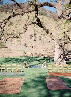 an outdoor ceremony set up with chairs and rugs in front of a large tree