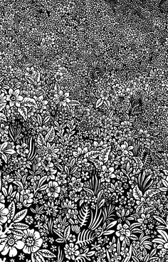 black and white drawing of flowers in the grass with trees in the background on an overcast day