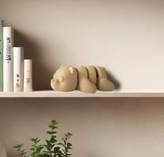 there is a teddy bear on the shelf next to some books and a potted plant