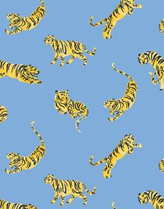 a blue background with yellow and black tigers on it's back side, all facing different directions