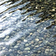 the water is crystal clear and reflecting rocks