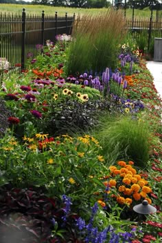 a garden filled with lots of colorful flowers