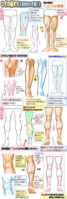 an info sheet showing different types of legs