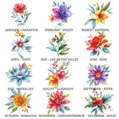 watercolor flowers and their names are shown in this image, which includes the names for each