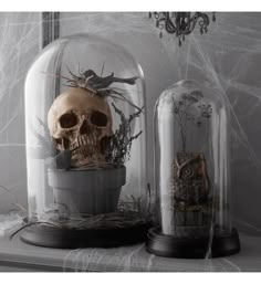 a skull in a glass dome next to an owl under a clochet with branches