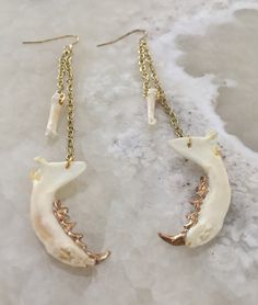 Jaw And Bone Earrings by PurgatoryPlaything on Etsy Weird Earring, Gay Outfits, Taxidermy Jewelry, Bone Crafts, Vulture Culture, Bone Earrings, Gold Teeth, Bone Necklace, Bone Jewelry