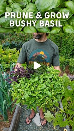 a man standing in front of a garden filled with lots of plants