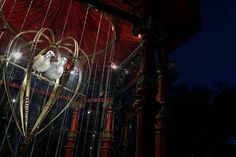 two white birds in a heart - shaped cage with strings hanging from it's sides