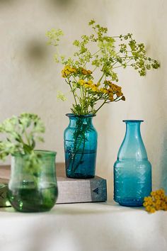 three vases with flowers in them sitting on a table next to books and plants