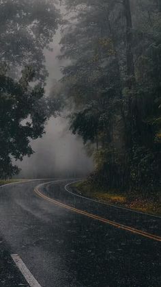 an empty road surrounded by trees and fog