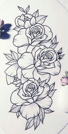 a drawing of some flowers on a sheet of paper