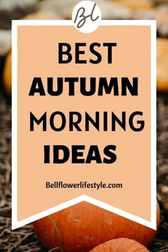 Cozy Fall Morning Routine You are guaranteed to Love Autumn Morning Routine, Fall Routine Ideas, Fall Morning Aesthetic, Cozy Fall Morning, Autumn Playlist, Fall Morning Routine, Hygge Autumn, Morning Ideas, Time With Yourself