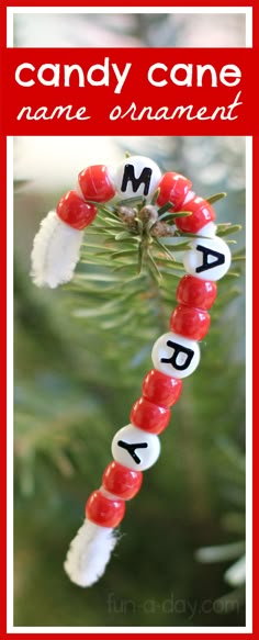 a candy cane ornament hanging from a christmas tree with the words candy cane on it