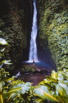 a man standing in front of a waterfall surrounded by lush green trees and foliages