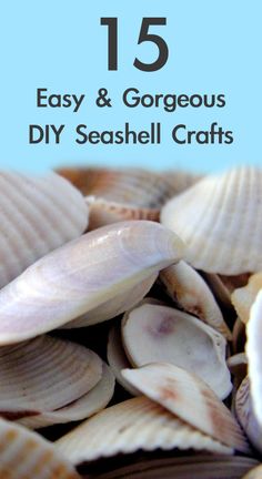 the cover of 15 easy and gorgeous diy seashell crafts with text overlay