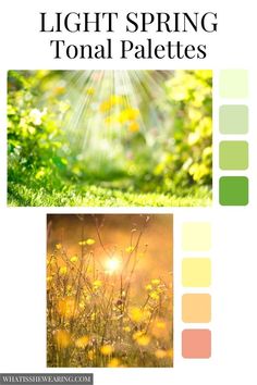 the words light spring tonal palettes are shown