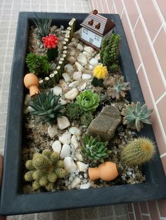 there is a planter with succulents and rocks in it