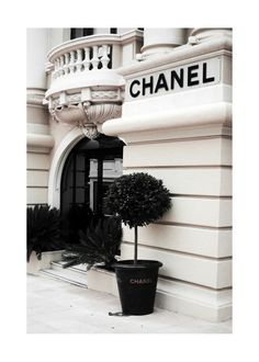 a black and white photo of a chanel store with potted plants in front